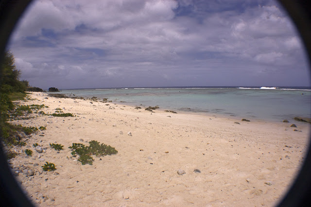 Raro.Fish%2520-%252002.jpg