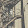 Heiko Toms Heiko Toms's profile photo