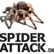 Spiderattack logo