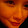 Eri Gentry Eri Gentry's profile photo