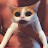 Brian S avatar image