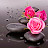 Livia Vasquez avatar image