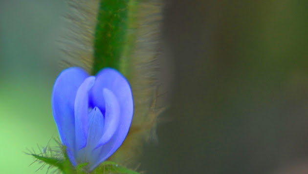 Cover photo