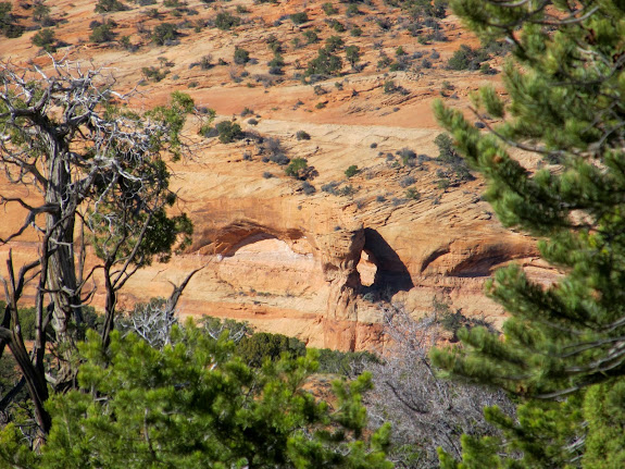 Natural arch on the rim of Horseshoe Canyon