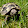Adam Mason Adam Mason's profile photo