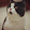 王泽 王泽's profile photo