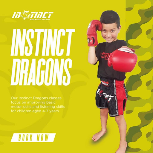 Instinct Martial Arts Kickboxing logo