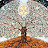 Mike Brown avatar image
