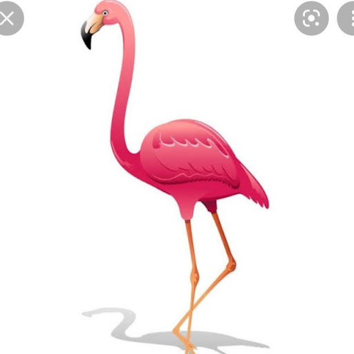 Kuaför Salon Flamingo logo