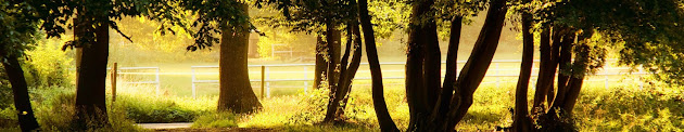 Cover photo