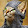 Cinzia Doc Cinzia Doc's profile photo