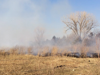 Pasture burning is a common practice in the Flint Hills during spring
