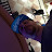 Venom Menace avatar image