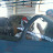 Stefano Siciliano avatar image