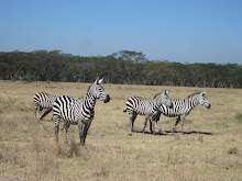 Pictures from Kenya