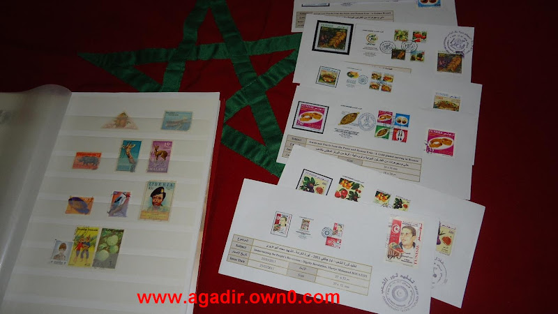 هواة الطوابع البريدية بأكادير ينظمون معرضهم الدولي للطوابع البريدية والعملات. DSC01974