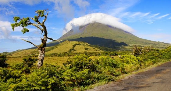 Ilha do Pico / Férias nos Açores: As Atrações
