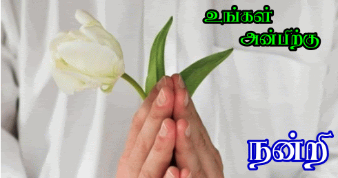 நன்றி வாழ்த்துக்கள் க்கான பட முடிவு