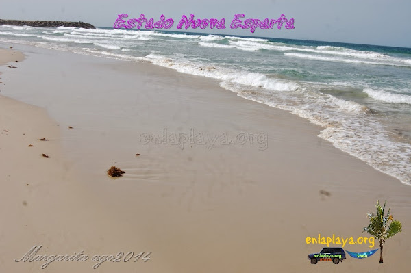 Playa Lagunamar NE023, estado Nueva Esparta, Margarita