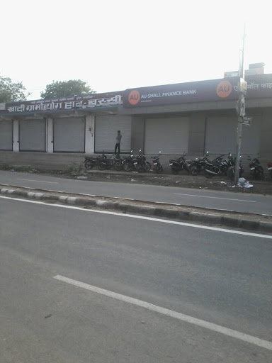 AU SMALL FINANCE BANK LIMITED, Near Khadi Gramodhyog, VIDAJI MOD, Jaipur Road, Near Bus Stand, Bassi, Rajasthan 303301, India, Financial_Institution, state RJ