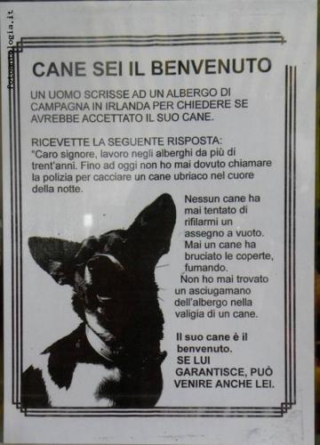 cane sei il benvenuto