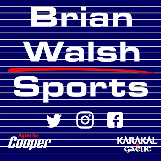 Brian Walsh Hurleys and Sports logo