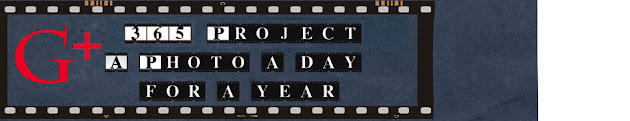 Cover photo