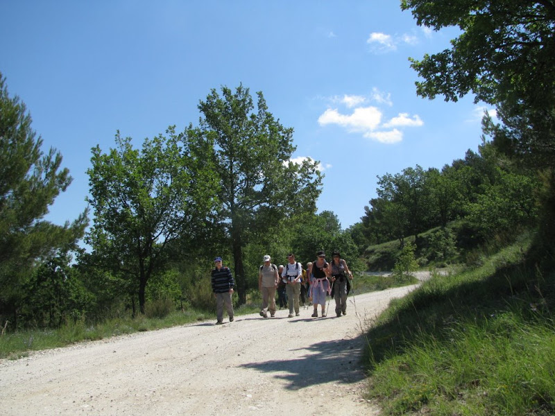 rando a st Jean du Puy  le 6 Juin 2013 IMG_1950