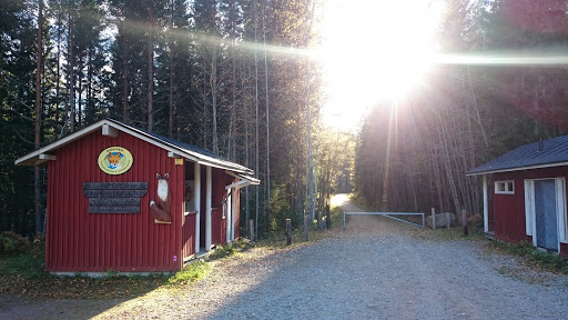 photo of Repovesi National Park