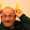David Stenglein David Stenglein's profile photo