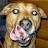 Mark Seymour avatar image