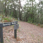 Top of Tommey Walk (225445)