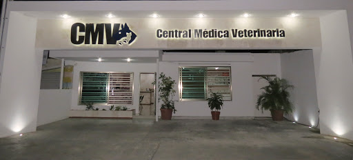 CENTRAL MEDICA VETERINARIA, calle 7 # 288A, Av Alfredo Barrera, San Damián, 97218 Mérida, Yuc., México, Cuidado de mascotas | Mérida