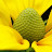 Gaith Bader avatar image