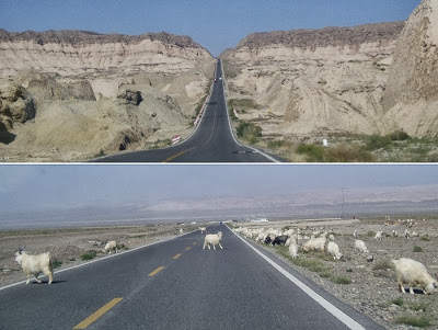 シルクロード旅行記・新疆ウイグル|クチャ郊外 遮るもののない直線道を遮るのは羊だけ