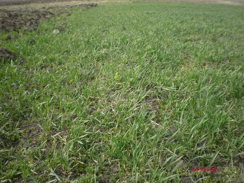 P3070028.JPG