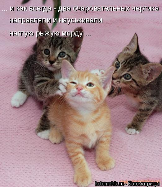 Поговорим о любви… часть 3 (Истинная любовь) Поговорим о любви… часть 3 (Истинная любовь)