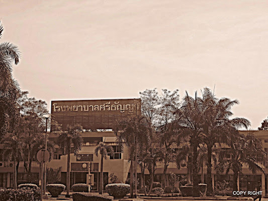 Srithanya Hospital