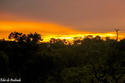 Jalapão ao final da tarde