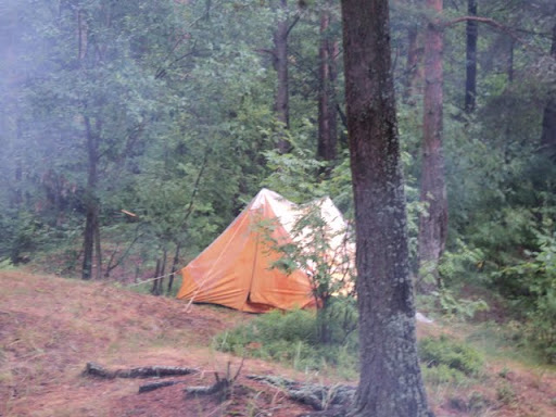 Проводы Белых ночей! Природа! 16 июля 2011