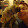 Katrina Szetey Katrina Szetey's profile photo