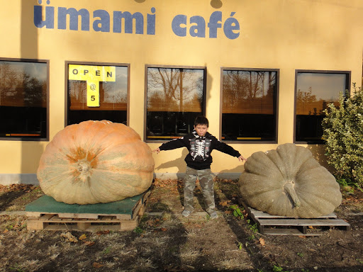 Eclectic Restaurant «Ümami Café», reviews and photos, 325 S Riverside Ave, Croton-On-Hudson, NY 10520, USA