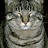 william furnish avatar image