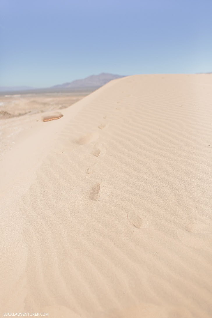 Sand Dunes Las Vegas.