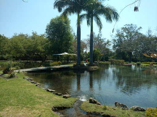 Jardín Los Naranjos, Nicolás Bravo 3, Centro, 62790 Chiconcuac, Mor., México, Recinto para eventos | EDOMEX