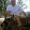 Chris Muller Chris Muller's profile photo