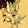 Razieh Ivareh Razieh Ivareh's profile photo