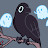 Heather Hanson avatar image