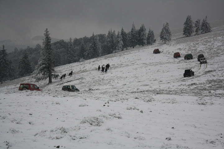 IMG_3909.JPG