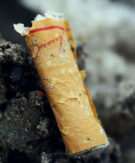 Vous sortez en pause clope Vous sortez en pause clope